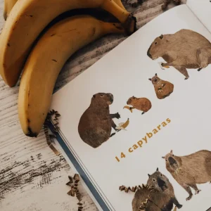 The Curated Parcel Book Subscription Box (0-2 Years)> For 1+ Year Olds | Literacy Corner
