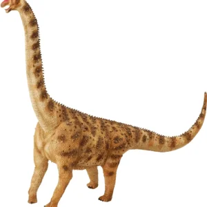 CollectA // Argentinosaurus (XL)> Dinosaur & Dragon Theme | Small World Play