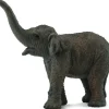 CollectA // Asian Elephant Calf> Safari Theme | Small World Play