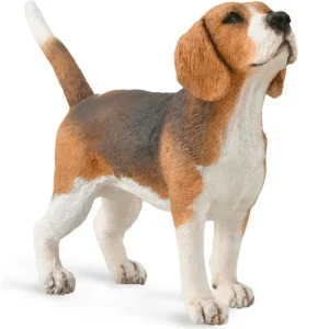 CollectA // Beagle> Farm & Barnyard Theme | Small World Play
