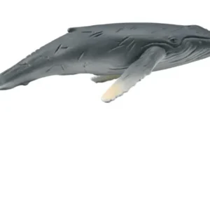 CollectA // Humpback Whale Calf> Ocean & Sea Theme | Small World Play