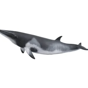 CollectA // Minke Whale> Small World Play