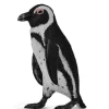 CollectA // South African Penguin> Ocean & Sea Theme | Small World Play