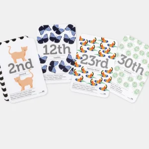 Two Little Ducklings Dates of the Month Flash Cards> Educational Play