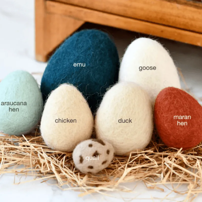 Tara Treasures Felt Eggs (7 Types of Poultry Eggs)> Small World Play