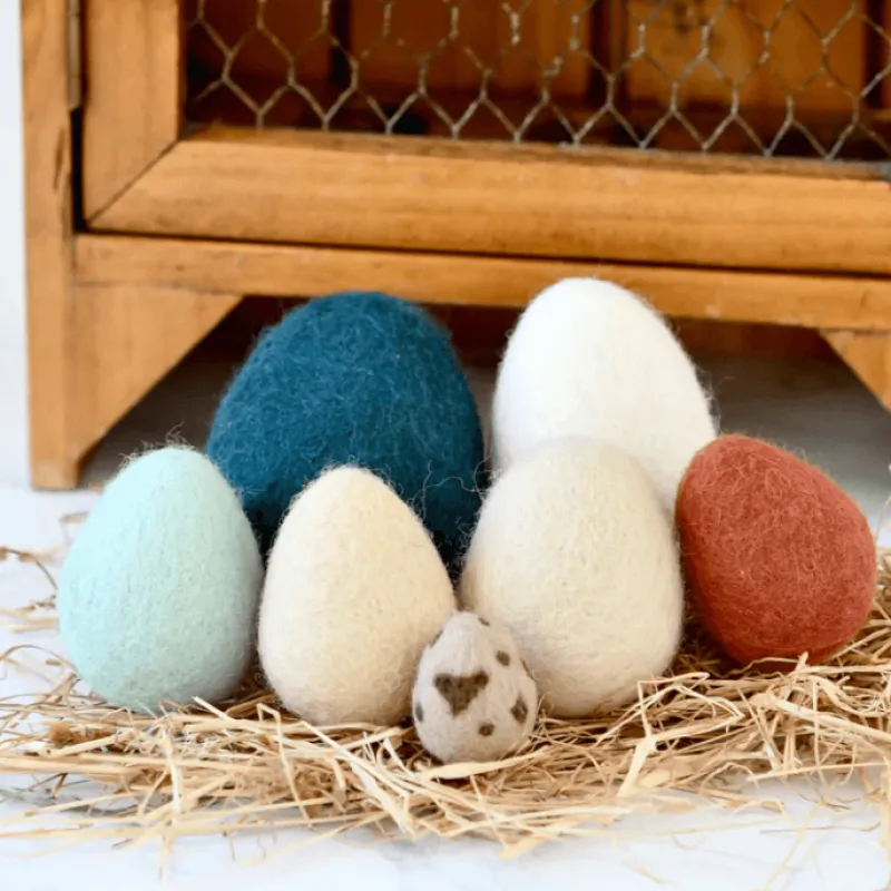 Tara Treasures Felt Eggs (7 Types of Poultry Eggs)> Small World Play