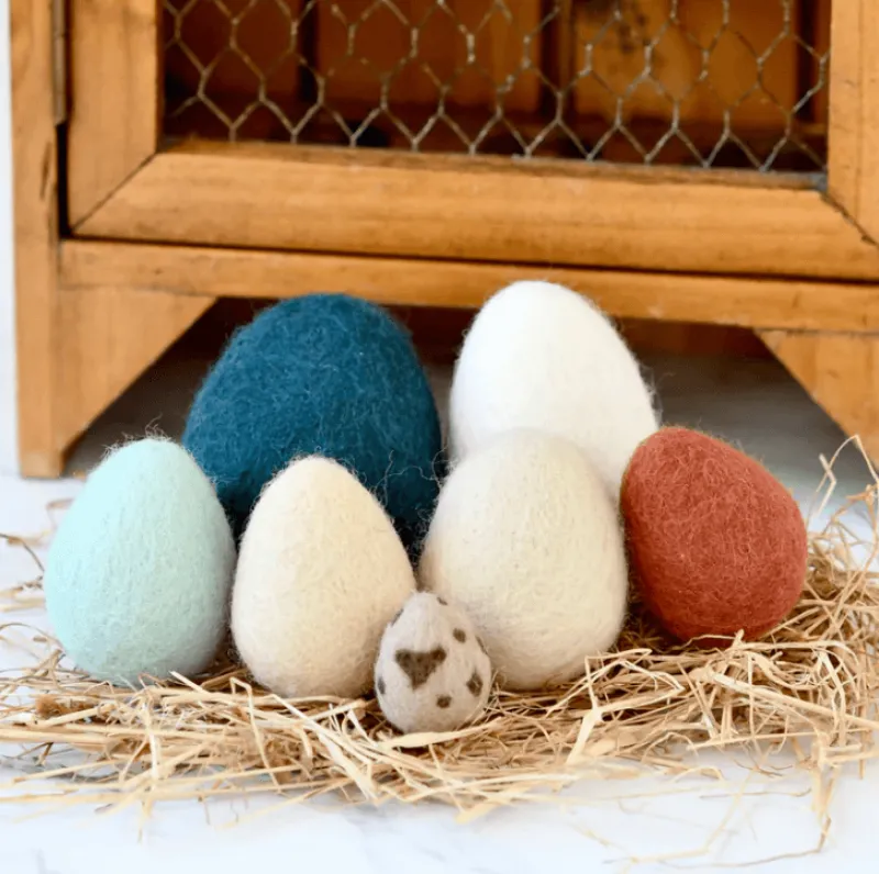 Tara Treasures Felt Eggs (7 Types of Poultry Eggs)> Small World Play