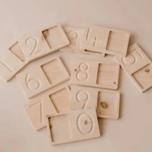 QToys Jumbo Counting & Collection Trays> Educational Play