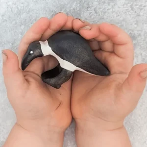 NOM // Ibis Pecking> Australiana Theme | Small World Play