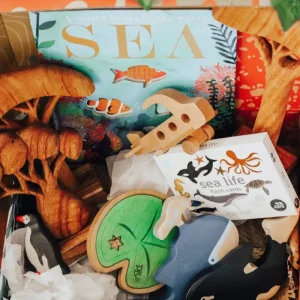 The Curated Parcel Play & Learn Boxes (3-5 Years)> Bestsellers