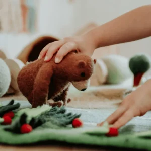 Tara Treasures Play Mat // Bear Hunt> For 5+ Year Olds | For 4+ Year Olds
