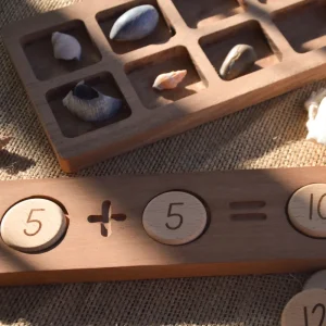 Our Earth Life Reversible Counting Tray and Tokens> Educational Play
