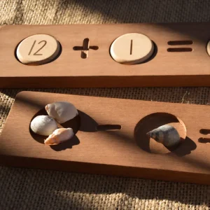 Our Earth Life Reversible Counting Tray and Tokens> Educational Play