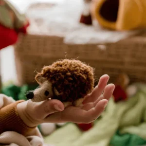 Tara Treasures // Felt Pumpkin House With Hedgehog> For 5+ Year Olds | For 4+ Year Olds