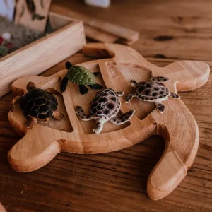 The Curated Parcel Turtle Sensory Tray> Educational Play | Sensory Play