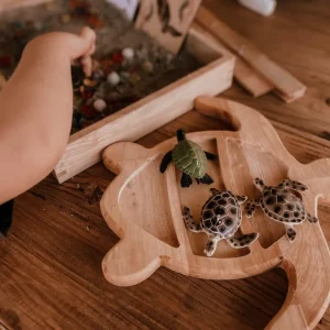 The Curated Parcel Turtle Sensory Tray> Educational Play | Sensory Play