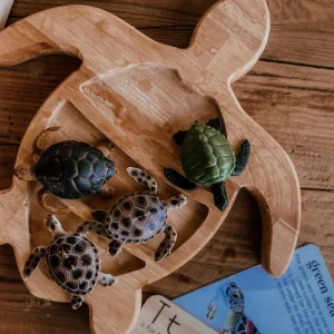 The Curated Parcel Turtle Sensory Tray> Educational Play | Sensory Play