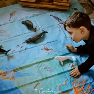 Wonderie // Into the abyss Play Cloth * Pre-Order End Feb Delivery *> Ocean & Sea Theme