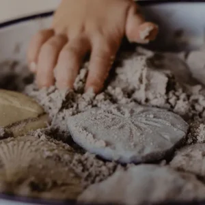 Yellow Door // Let's Investigate - Fossils> Sensory Play | Educational Play