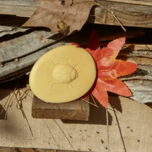 Yellow Door // Let's Investigate - Bugs> Sensory Play | Educational Play
