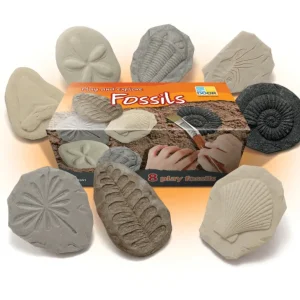 Yellow Door // Let's Investigate - Fossils> Sensory Play | Educational Play